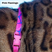 Load image into Gallery viewer, Leash and Harness Set