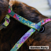 Load image into Gallery viewer, National Park Collection