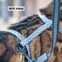 Load image into Gallery viewer, Black Dipped in Gold Leash and Harness Set