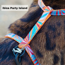 Load image into Gallery viewer, Black Dipped in Gold Leash and Harness Set