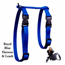Load image into Gallery viewer, Black Dipped in Gold Leash and Harness Set