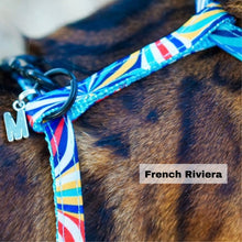 Load image into Gallery viewer, Black Dipped in Gold Leash and Harness Set