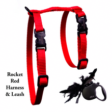 Load image into Gallery viewer, Leash and Harness Set