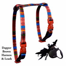 Load image into Gallery viewer, Leash and Harness Set