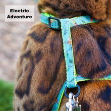 Load image into Gallery viewer, Black Dipped in Gold Leash and Harness Set