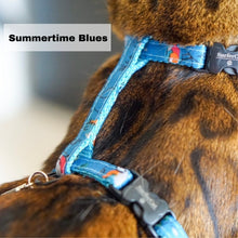 Load image into Gallery viewer, Leash and Harness Set