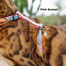 Load image into Gallery viewer, Leash and Harness Set