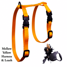 Load image into Gallery viewer, Black Dipped in Gold Leash and Harness Set