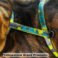 Load image into Gallery viewer, National Park Collection