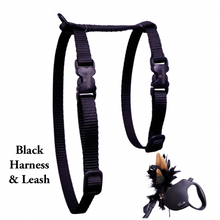 Load image into Gallery viewer, Black Dipped in Gold Leash and Harness Set