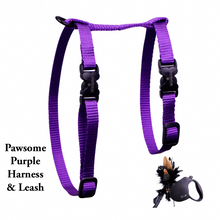 Load image into Gallery viewer, Black Dipped in Gold Leash and Harness Set