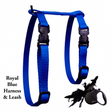 Load image into Gallery viewer, Leash and Harness Set