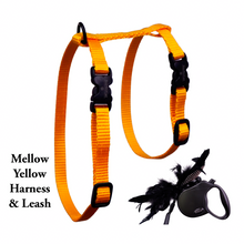 Load image into Gallery viewer, Leash and Harness Set