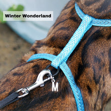 Load image into Gallery viewer, Black Dipped in Gold Leash and Harness Set