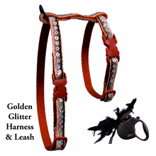 Load image into Gallery viewer, Leash and Harness Set