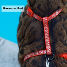 Load image into Gallery viewer, Black Dipped in Gold Leash and Harness Set