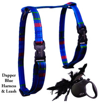 Load image into Gallery viewer, Leash and Harness Set