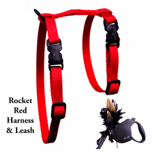 Load image into Gallery viewer, Black Dipped in Gold Leash and Harness Set