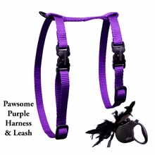 Load image into Gallery viewer, Leash and Harness Set
