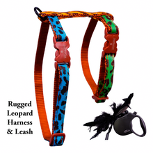 Load image into Gallery viewer, Leash and Harness Set