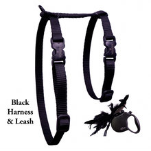 Load image into Gallery viewer, Leash and Harness Set
