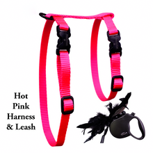 Load image into Gallery viewer, Leash and Harness Set