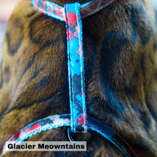 Load image into Gallery viewer, National Park Collection