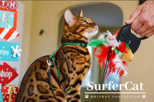 Load image into Gallery viewer, Holiday Harness Collection