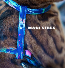 Load image into Gallery viewer, Leash and Harness Set