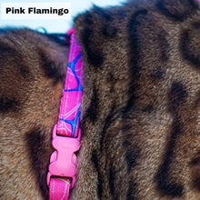 Load image into Gallery viewer, All Harnesses & Collections