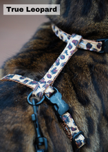 Load image into Gallery viewer, National Park Collection