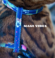 Load image into Gallery viewer, Leash and Harness Set