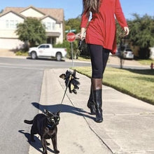 Load image into Gallery viewer, Black Dipped in Gold Leash and Harness Set