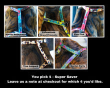 Load image into Gallery viewer, National Park Collection