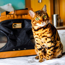 Load image into Gallery viewer, Training Bag w/ Litter Box for adventures
