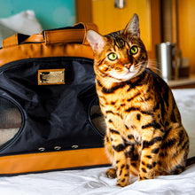 Load image into Gallery viewer, Training Bag w/ Litter Box for adventures