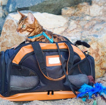 Load image into Gallery viewer, Training Bag w/ Litter Box for adventures
