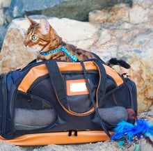 Load image into Gallery viewer, Training Bag w/ Litter Box for adventures