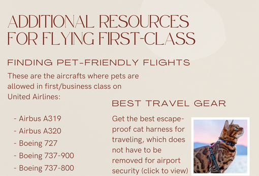 First-Class Flying - Additional Resources