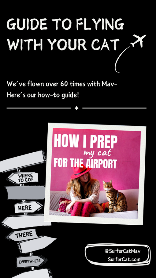 SurferCat Guide to Flying