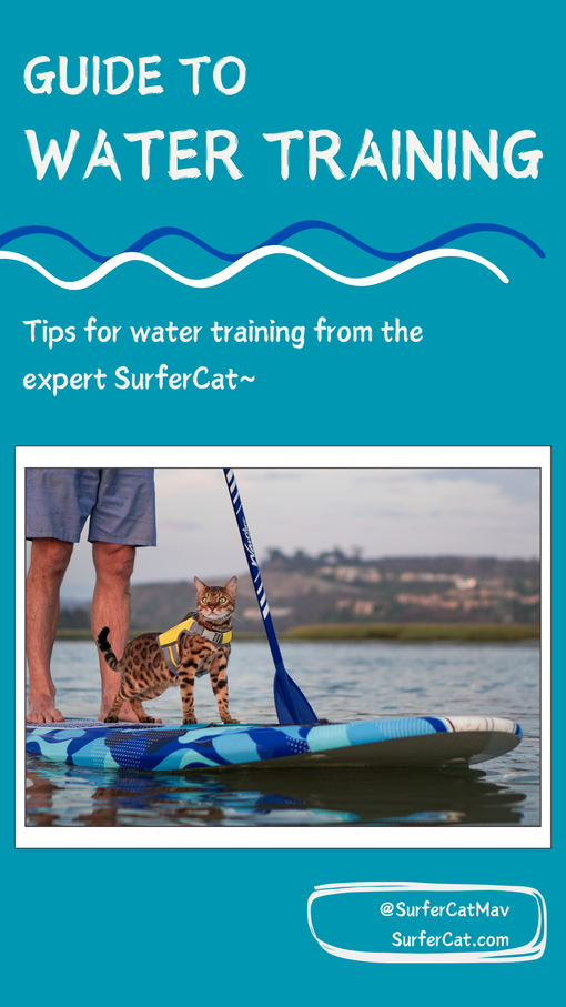 SurferCat Guide To Water Training