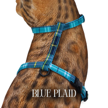 Load image into Gallery viewer, Classic Plaid Collection Escape Proof
