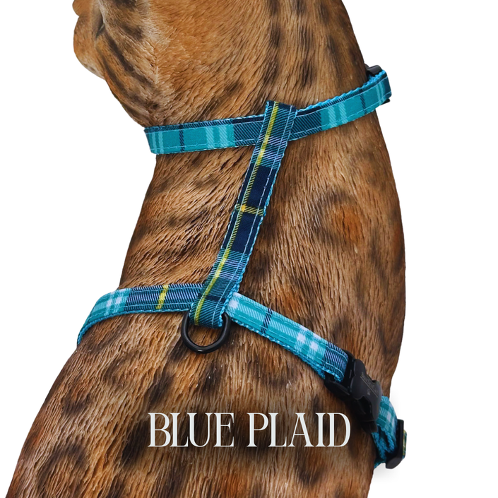 Classic Plaid Collection