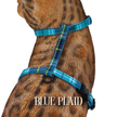 All Harnesses & Collections