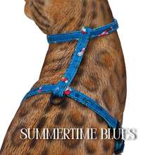 Load image into Gallery viewer, All Harnesses &amp; Collections
