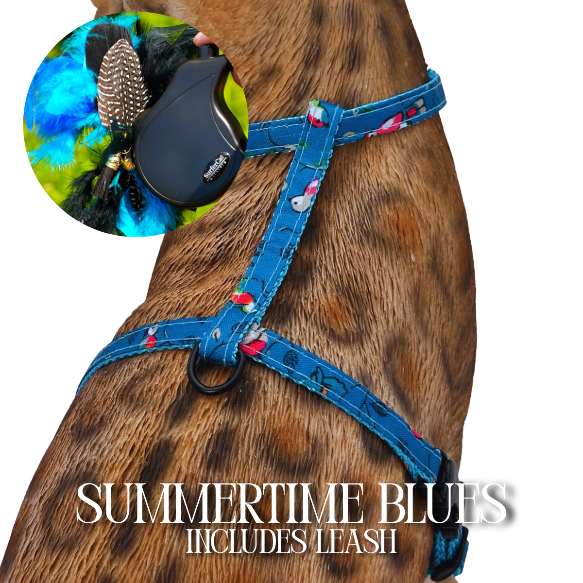 Leash and Harness Set