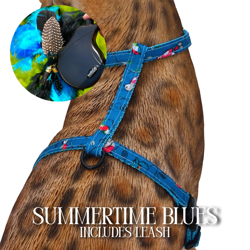 Leash and Harness Set