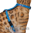 All Harnesses & Collections