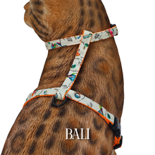 Load image into Gallery viewer, Travel Collection - Escape-Proof Harness
