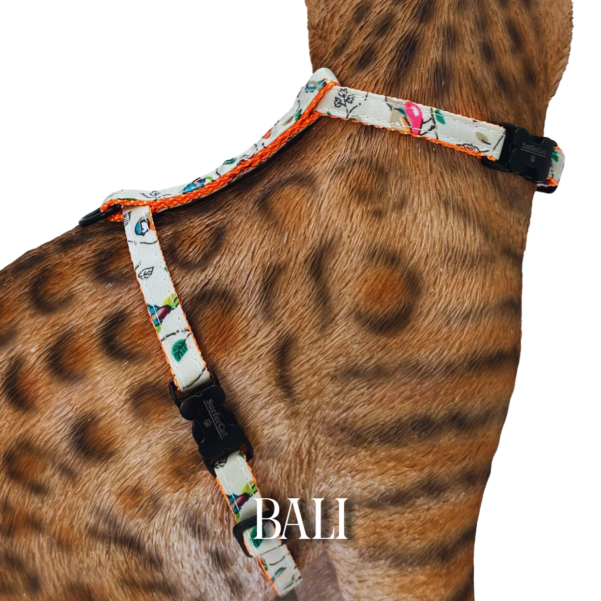All Harnesses & Collections